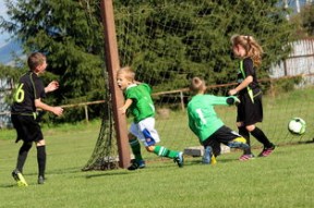 爱尔兰男子橄榄球队备战世界杯，目标明确，爱尔兰nba